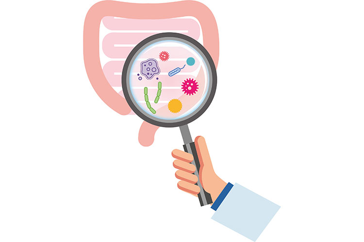 腸内細菌に適した活動ができていないイメージ画像